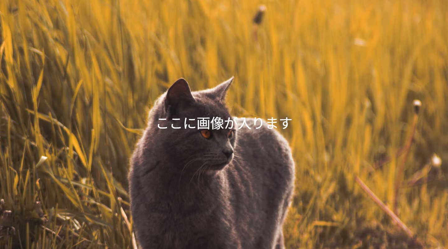 渡辺アートブロー株式会社のイメージ画像